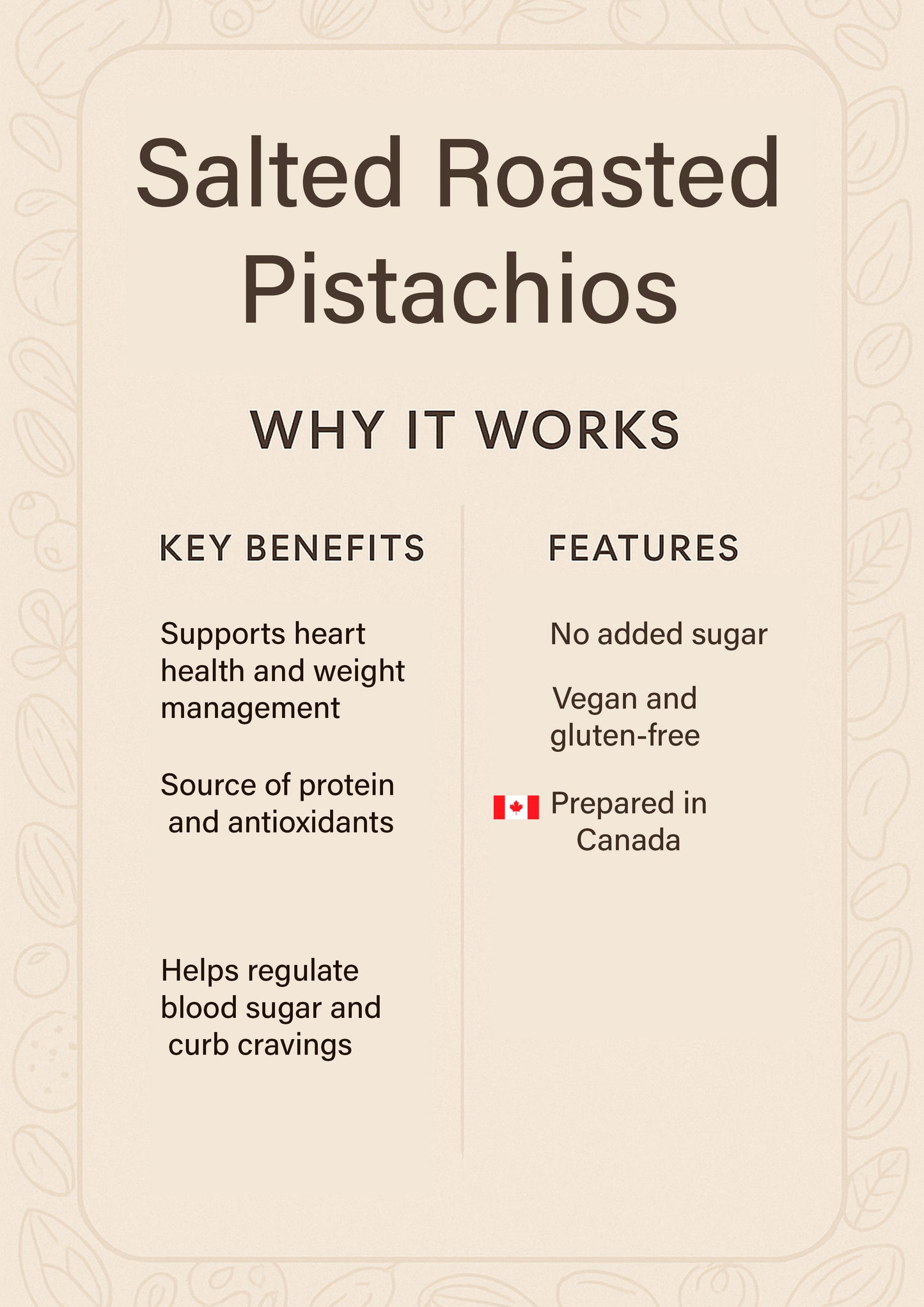 Salted Roasted Pistachios – Savory Plant Protein Snack
